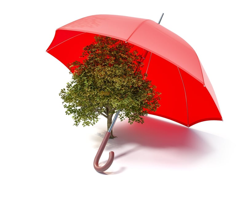 Eco-friendly practices